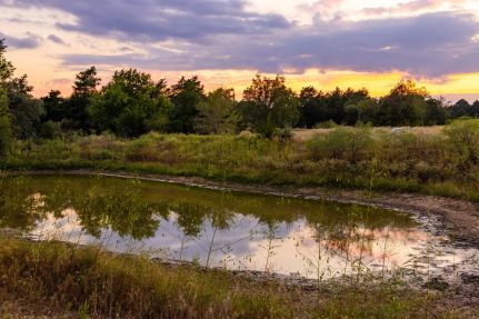 Land for sale in Bastrop County, Texas