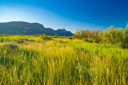 Hunting Property in Presidio County, Texas