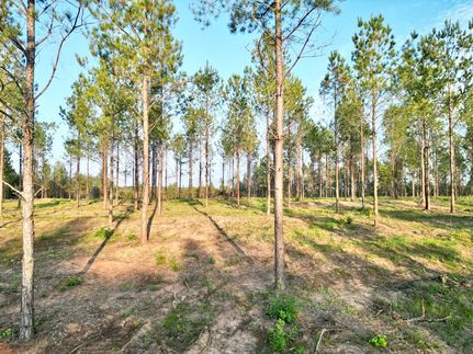 Recreational Property for sale in Pike County, Alabama