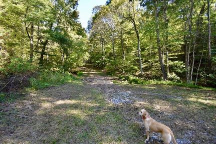 Land for sale in Ohio County, Kentucky