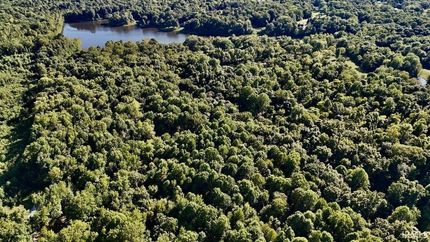 Undeveloped Land for sale in Pike County, Indiana