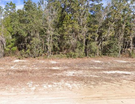 Oceanfront Property for sale in Putnam County, Florida