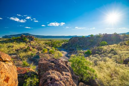 Farm and Ranch for sale in Presidio County, Texas