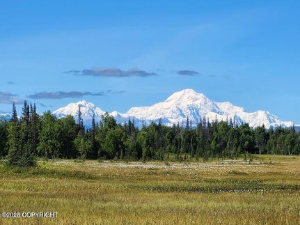 Undeveloped Land for sale in Matanuska-Susitna Borough, Alaska