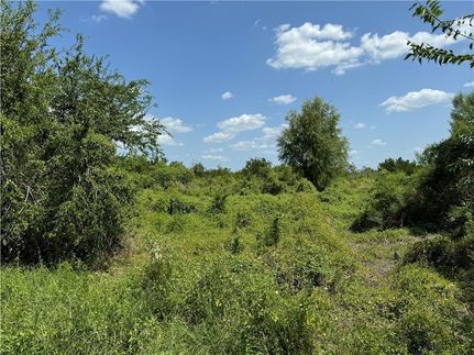 Land for sale in Live Oak County, Texas
