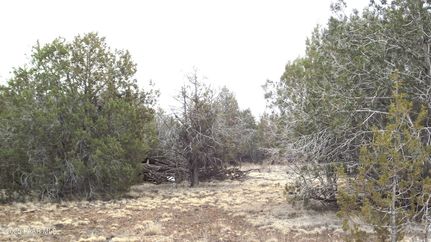 Undeveloped Land for sale in Coconino County, Arizona