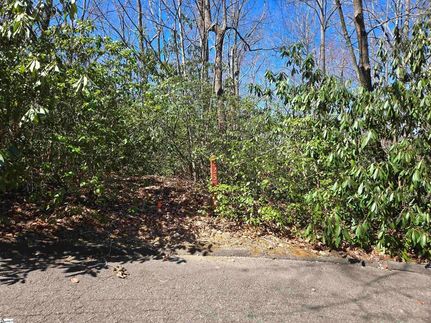 Land for sale in Greenville County, South Carolina