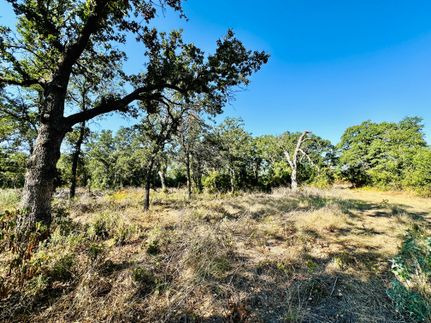 Homesite for sale in Callahan County, Texas