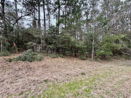 Land for sale in Polk County, Texas