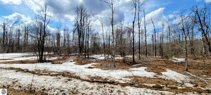 Recreational Property for sale in Antrim County, Michigan