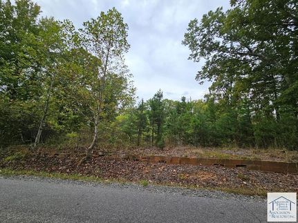 Undeveloped Land for sale in Henry County, Virginia