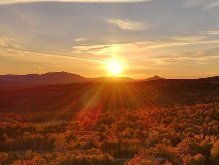 Timberland Property for sale in Piscataquis County, Maine