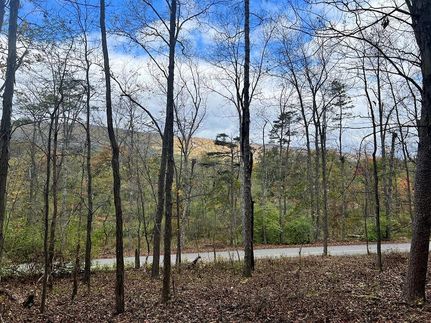 Land for sale in Clearfield County, Pennsylvania