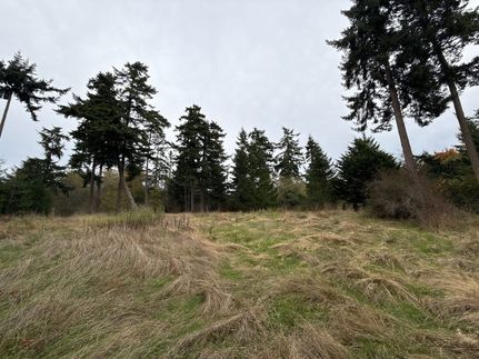Undeveloped Land for sale in Island County, Washington