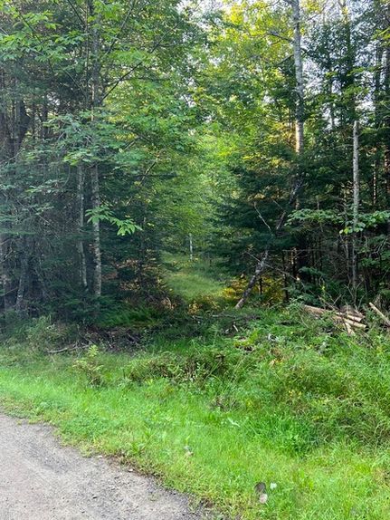 Timberland Property for sale in Penobscot County, Maine