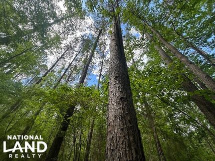 Hunting Property for sale in Franklin County, Alabama