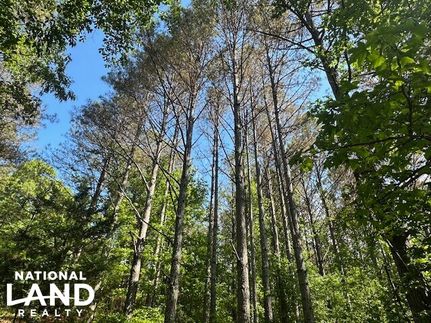 Farm and Ranch for sale in Franklin County, Alabama