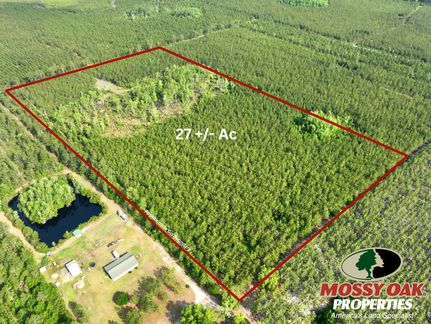 Farm and Ranch for sale in Charlton County, Georgia