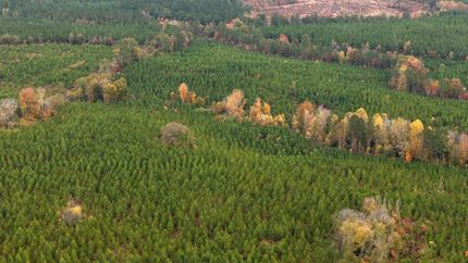 Farm and Ranch for sale in Richmond County, North Carolina