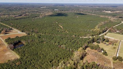 Farm and Ranch for sale in Bladen County, North Carolina