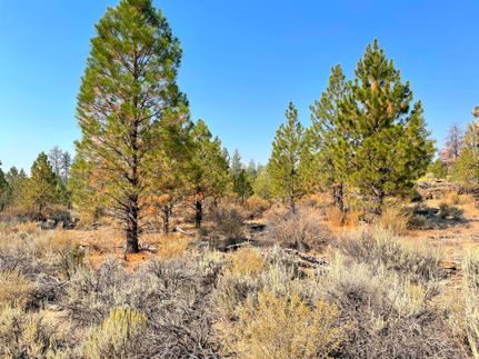 Undeveloped Land for sale in Klamath County, Oregon