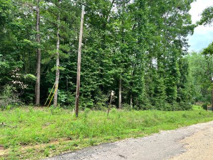 Undeveloped Land for sale in Tyler County, Texas