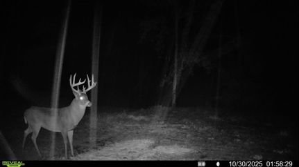 Land for sale in Ohio County, Indiana