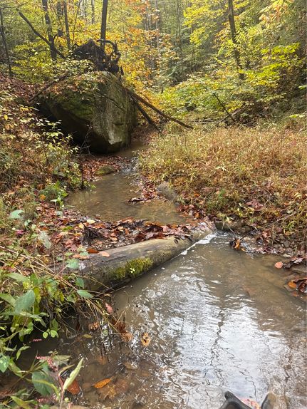 Farm and Ranch for sale in Perry County, Kentucky