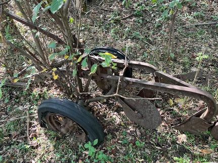 Undeveloped Land for sale in Switzerland County, Indiana