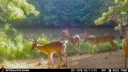 Recreational Property for sale in Cedar County, Missouri