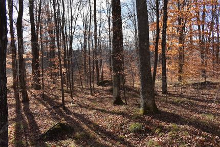 Land for sale in Marinette County, Wisconsin