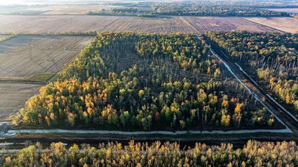 Farm and Ranch for sale in Wayne County, Illinois