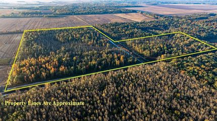 Farm and Ranch for sale in Wayne County, Illinois