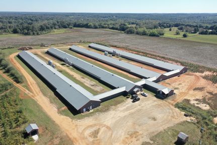 Land for sale in Henry County, Alabama