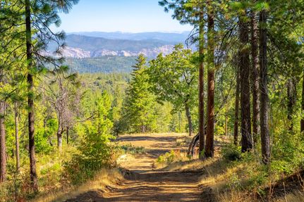 Undeveloped Land for sale in Tuolumne County, California