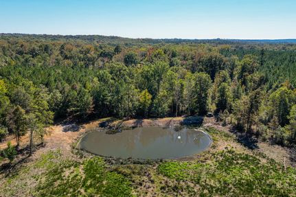 Timberland Property for sale in Wilkinson County, Georgia