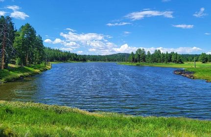 Land for sale in Navajo County, Arizona