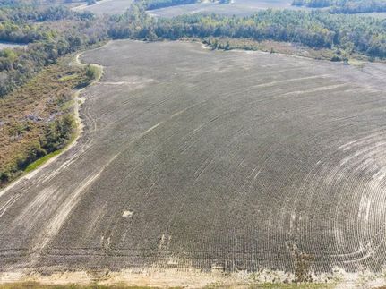 Undeveloped Land for sale in Bulloch County, Georgia