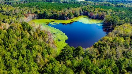 Farm and Ranch for sale in Evans County, Georgia