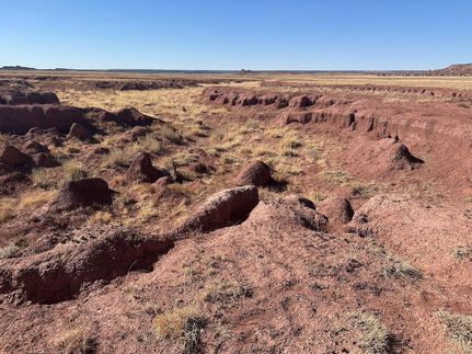 Undeveloped Land for sale in Apache County, Arizona