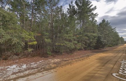 Homesite in Putnam County, Florida
