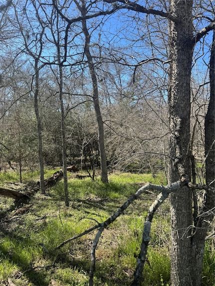 Farm and Ranch for sale in Bastrop County, Texas