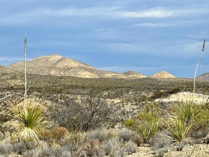 Undeveloped Land for sale in Brewster County, Texas