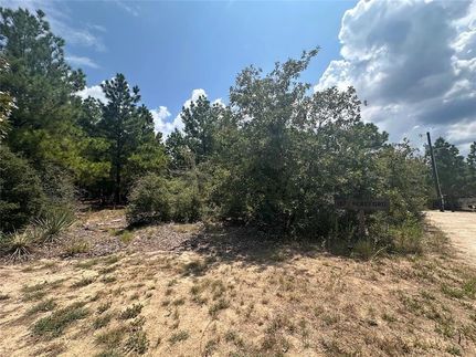 Farm and Ranch for sale in Bastrop County, Texas