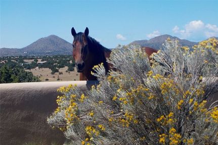 Recreational Property for sale in Santa Fe County, New Mexico