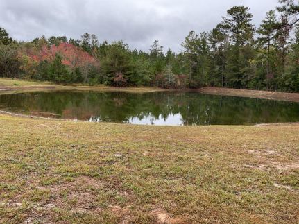 Recreational Property for sale in Butler County, Alabama