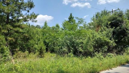 Land for sale in Clarendon County, South Carolina