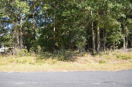 Land for sale in Clarendon County, South Carolina
