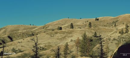 Undeveloped Land for sale in Idaho County, Idaho
