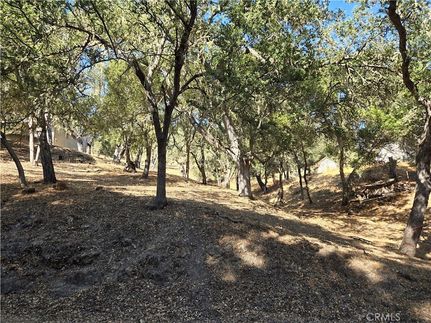 Farm and Ranch for sale in San Luis Obispo County, California